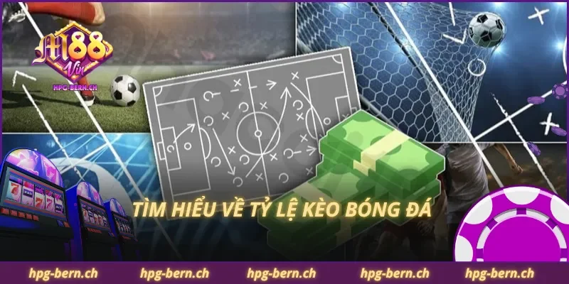 Tìm hiểu về tỷ lệ kèo bóng đá