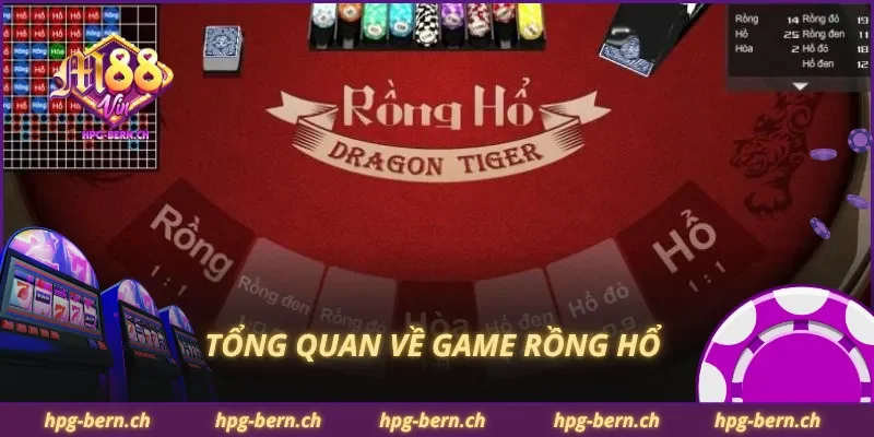 Tổng quan về game rồng hổ